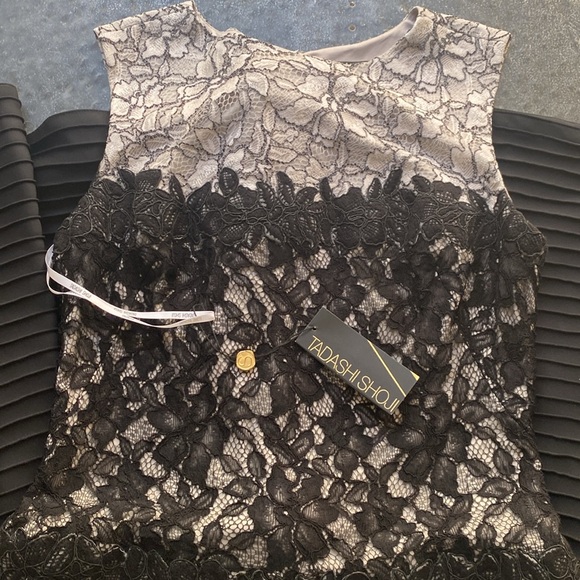 Tadashi Shoji Sleeveless Lace Cocktail Dress - Picture 3 of 8
